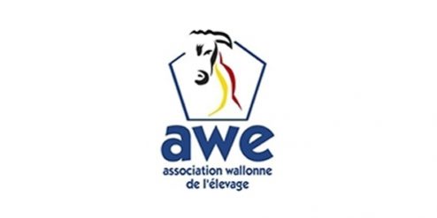 association-wallonne-de-l-elevage