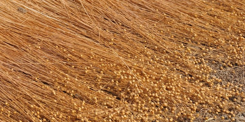 techflax