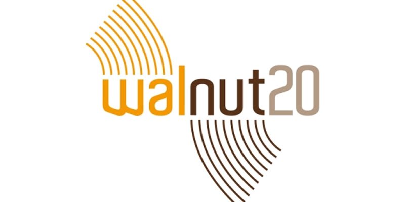 walnut