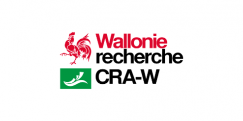 craw