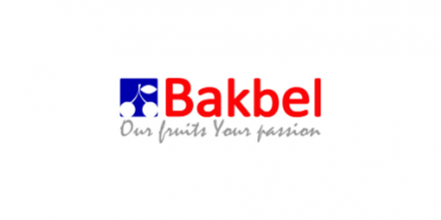 bakbel