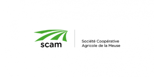 scamok