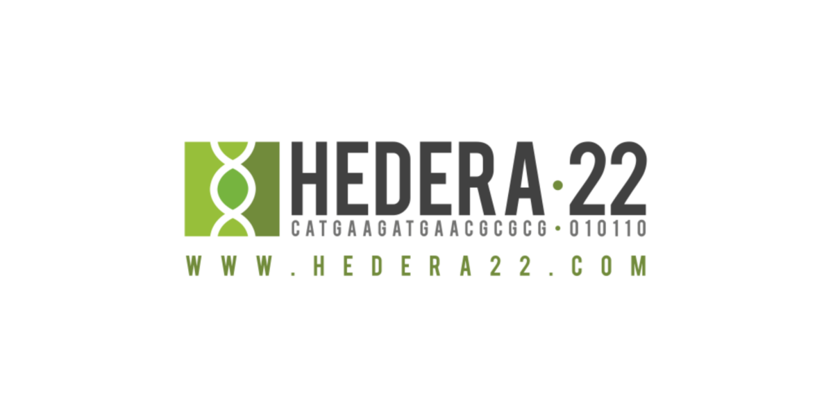 hedera22